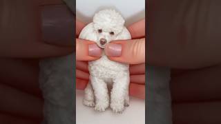 Squeeze and form ❤️ cute dog cutedog cat cutecat funny prank satisfying clay clayart [upl. by Standice]