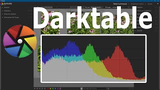 Darktable  Histogramme [upl. by Eneri48]