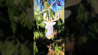 Handmade Ornament with Holographic Deer Head Silicone Mold resinartist resinmolds deer [upl. by Tannenwald857]