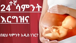 የእርግዝና 24ኛ ሳምንት 24th  week of pregnancy [upl. by Nicolette]