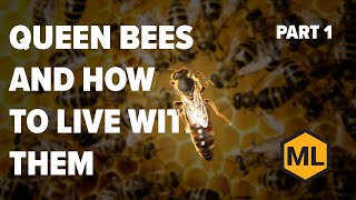 Queen Bees and How to Live With Them Part 1 Class by Dr Larry Connor [upl. by Aislehc176]