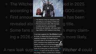 A new Witcher video game may be released next year ￼ [upl. by Leunam]