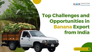 Top Challenges and Opportunities in Banana Exports from India [upl. by Nywles748]