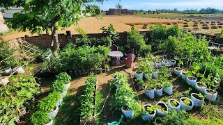 Beautiful Colorful and Bountiful Container Vegetable Garden Tour [upl. by Nivlad]