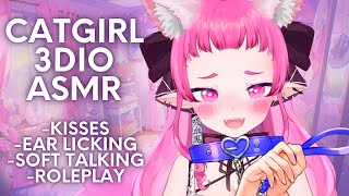 3DIO ASMR Catgirl Anime GF Roleplay [upl. by Gilemette]