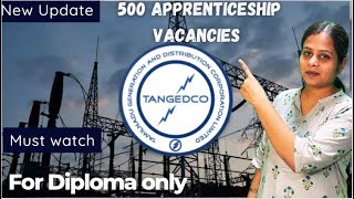 TANGEDCO JOB FOR DIPLOMA STUDENTS  ELECTRICAL  EC  CSE  IT  MECH  CIVIL [upl. by Niawtna589]