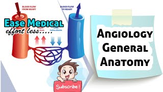 Angiology General Antomy Medical videos Ease Medical Easemedical [upl. by Nhguaved]