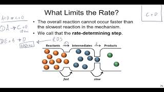 Chemical Kinetics Lecture on Reaction Mechanisms Molecularity and Catalysts [upl. by Ecirtaeb]