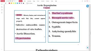 Chest and Cardiology LEC 3 Aortic valve S amp R [upl. by Dorey]