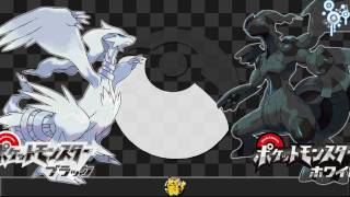 Everything Pokemon Reshiram and Zekrom Signature Move  Luvdisc Evolution amp DP 186 amp 187 News [upl. by Lyudmila]