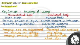 Distinguish between dorsiventral and isobilateral leaf [upl. by Fazeli]