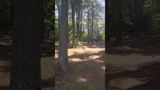 Quiet Walk Through Whitefish Point Cemetary [upl. by Yseult103]