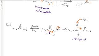 CHEM113 20 13 Hofman and Curtius rearrangement [upl. by Fernas120]