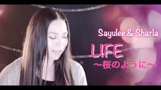 【MV】Life桜のように Sayulee x Sharla in Japan 人気YouTuber [upl. by Etezzil877]