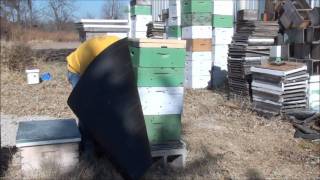 Beekeeping How To Wrap Your Bee Hive For Winter [upl. by Cyndie]