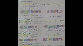 The Wild World of Chromosomal Mutations [upl. by Nirek]