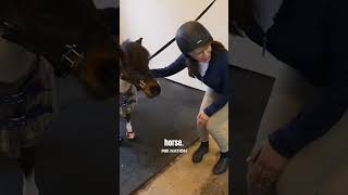 Judge Jeanine meets Cupcake the miniature horse [upl. by Cherie]