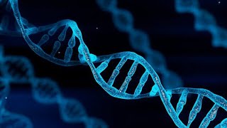 DNA detail lecture  watson and crick model of DNA  New book XI sind board  MDCAT and NEET MCQS [upl. by Gilroy]