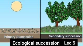 Ecological succession and its types primary and secondary lec 6 enivornment and ecology [upl. by Okihcim]