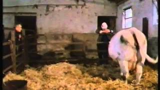 Seventy Summers  The Story of a Farm Pt 55 quotThe Changing Viewquot BBC 1987 [upl. by Boutis938]