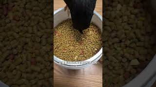 Starling bird lovers Starling feed Bird food Double 11 presale Kaiyuan brand bird food [upl. by Hazeghi]