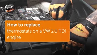 How to replace the Thermostat on a VW 20 TDI engine [upl. by Giliana]