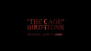 BIRDSTONE  The Cage Official Video [upl. by Nauqahs]