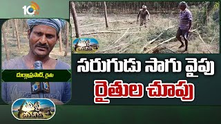 సరుగుడు సాగు వైపు రైతుల చూపు  CasuarinaSarugudu Cultivation  10TV News [upl. by Tikna]