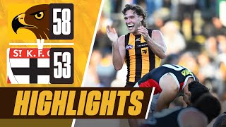 Hawthorn v St Kilda  Match Highlights  Round 9 2024 [upl. by Esdnyl]