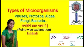 Types of Microorganisms  Viruses  Bacteria  Protozoa  Algae  Fungi  NEET  Microorganisms [upl. by Kinny]