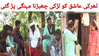 Sheeda Fradia  Akram Charsi DholaKali ButtSakhi SeaniSobiFunnyVideo2024 [upl. by Anilak]