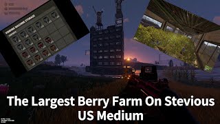 The Largest Berry Farm On Stevious US Medium │Rust [upl. by Anitsyrc]