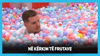 Adri hyn te topat në kërkim të frutave [upl. by Aral]