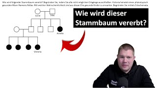 ABITRAINING  Stammbaumanalyse 1 Wie wird dieser Stammbaum vererbt [upl. by Bluefield]