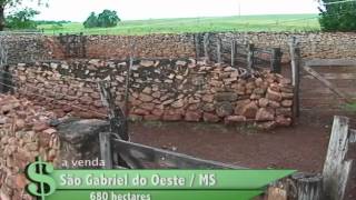 FAZENDA À VENDA EM SÃO GABRIEL DO OESTE  MS COM 680 HECTARES [upl. by Eelan]