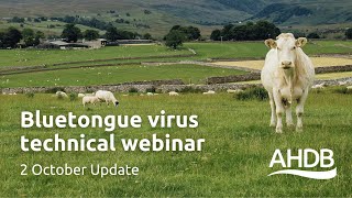 Bluetongue Virus  2nd October Update  AHDB Webinar [upl. by Assilana]