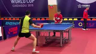 Ma Long amp Tomokazu Harimoto Training at the 2019 Mens World Cup [upl. by Flint]