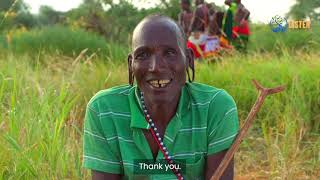 Rangeland restoration through community engagement in Kenya [upl. by Whorton]