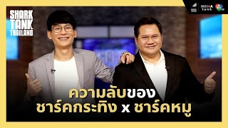 Shark กระทิง ที่เห็นในรายการจริงๆ แล้วคือ…Shark หมู  Shark Unseen EP15 [upl. by Eardna]