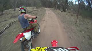 xr650 vs crf450x [upl. by Acireh]