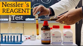 Nesslers reagent test for ammonium Nesslers reagent preparation Pandey Ji [upl. by Fortin]