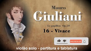 16  Vivace  Mauro Giuliani  Le papillon  op 50 [upl. by Leinad]