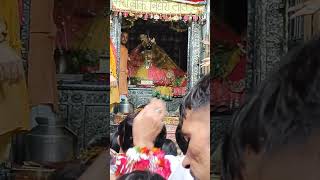 🚩🙏Shri Banke Bihari🚩🌹bankebihari song bhaktibhajan vrindavan krishna [upl. by Siraj]