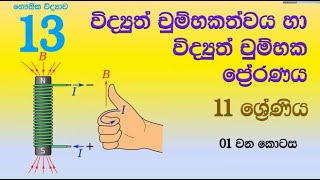 Grade 11 13 Electromagnetism and Electromagnetic Induction 20230219 Science Buddhika Sir [upl. by Nylinnej]