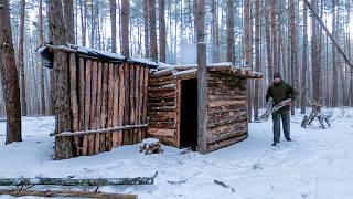 Shelter building in the woods bushcraft modern [upl. by Cod775]