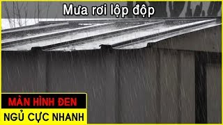 Bí quyết ngủ cực nhanh  với tiếng Mưa rơi quotLộp độpquot trên mái nhà thiếc 「 Nhạc thư giãn 」 [upl. by Yerot]