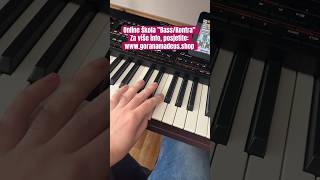 MANUAL BASS KORG PA4X RUMBA RITAM [upl. by Honorine171]