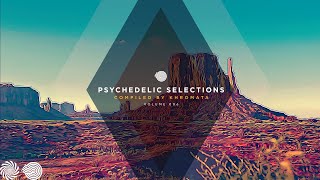 Khromata  Psychedelic Selections 6 Iboga Records  Full Album [upl. by Dnesnwot]