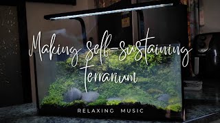 quotCreating a SelfSustaining Terrarium in an Aquarium Tank 🌿🐟  Ecosystem Projectquot [upl. by Cummings]