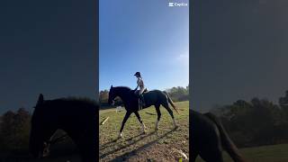 I missed riding in just my half pad [upl. by Chance]